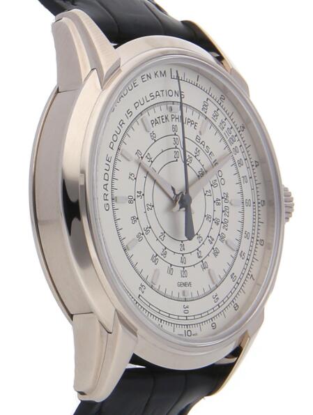 Patek Philippe 175th-Anniversary Multi-Scale Chronograph 5975G-001 Replica Watch